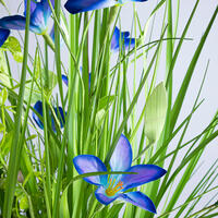 Mănunchi de iarbă ornamentală, flori albastre, 70 cm 2